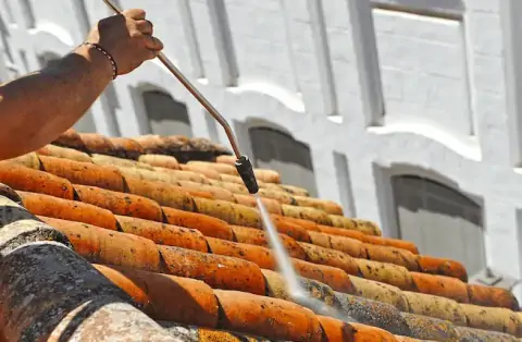 Nettoyage de toitures - Trappes